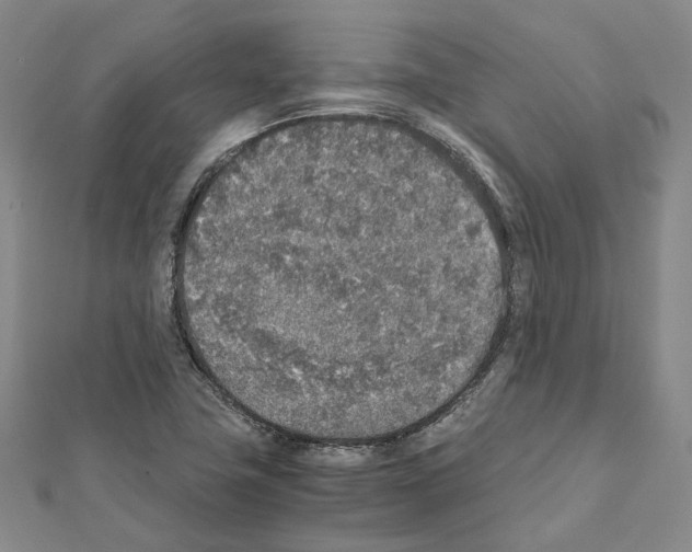 X0000111451411200908241156
