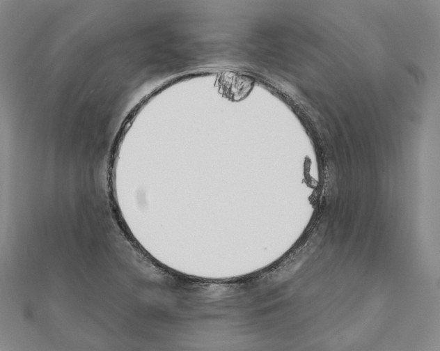 X0000111451412200908241156