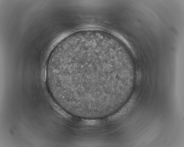 X0000111451413200908241156