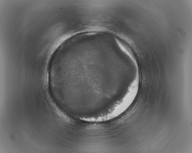 X0000111451414200908241156