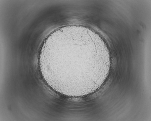 X0000111451415200908241156