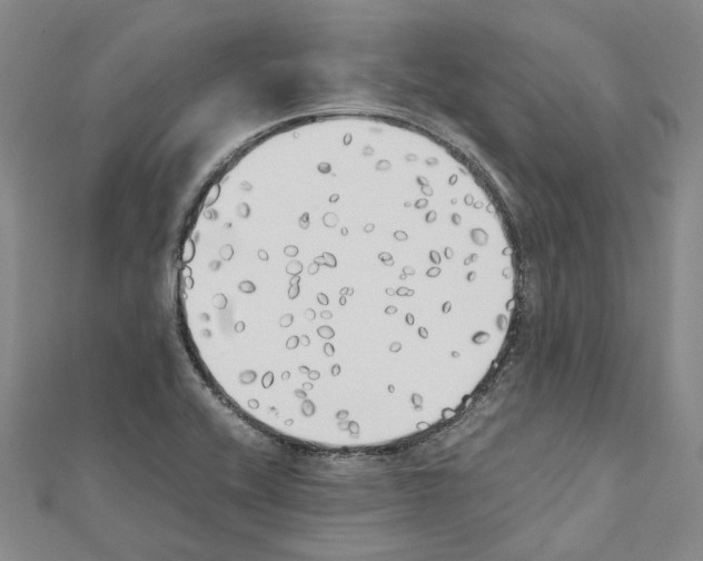 X0000111451416200908241156