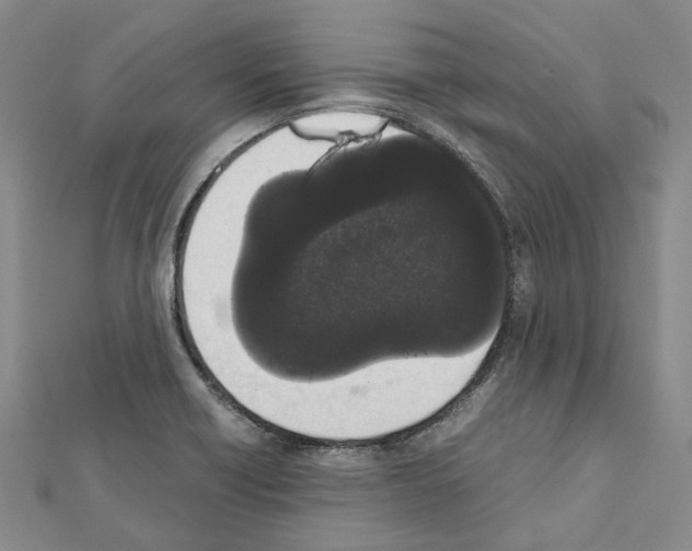 X0000111451418200908241156