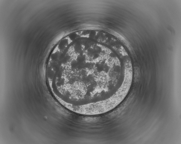 X0000111451419200908241156