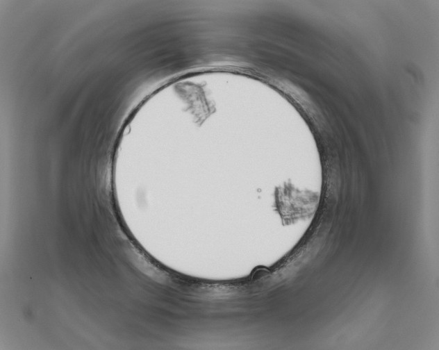X0000111451420200908241156