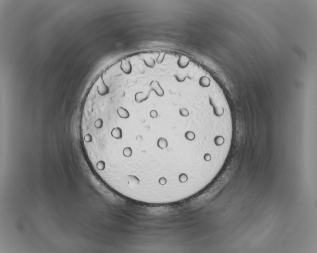 X0000111451421200908241156