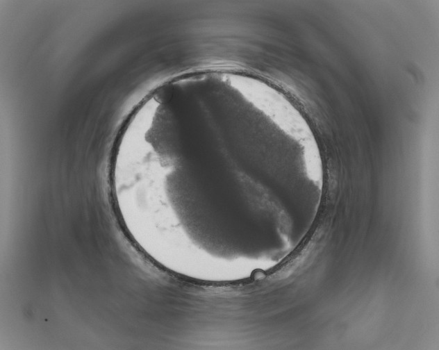 X0000111451422200908241156