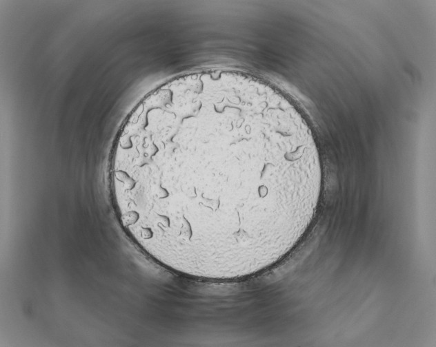 X0000111451423200908241156