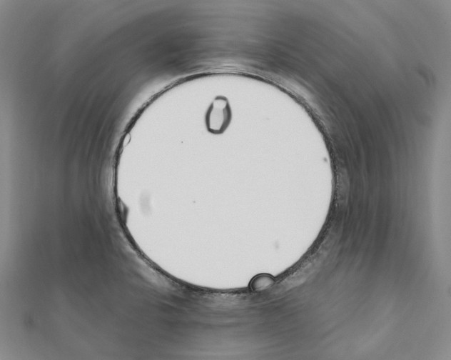 X0000111451424200908241156