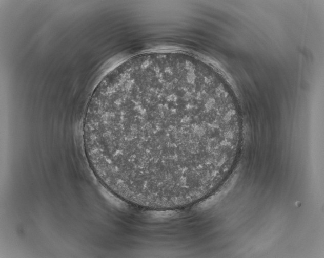 X0000111451425200908241156