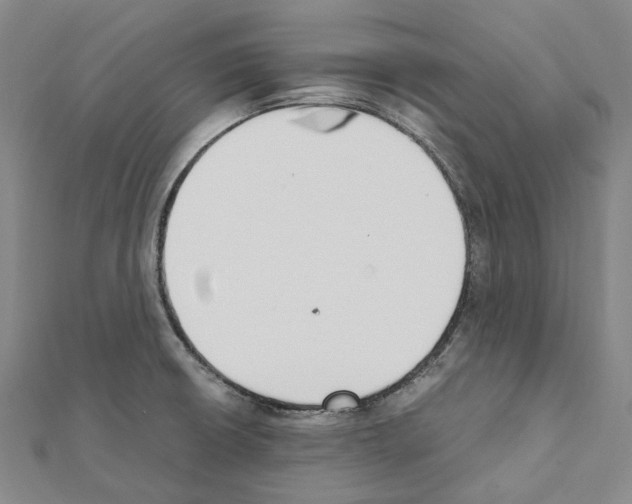 X0000111451426200908241156