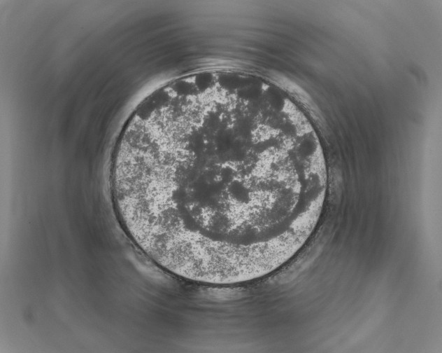 X0000111451427200908241156