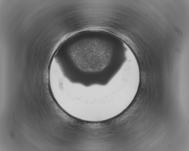 X0000111451428200908241156