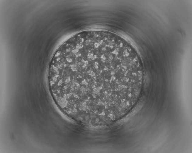 X0000111451429200908241156
