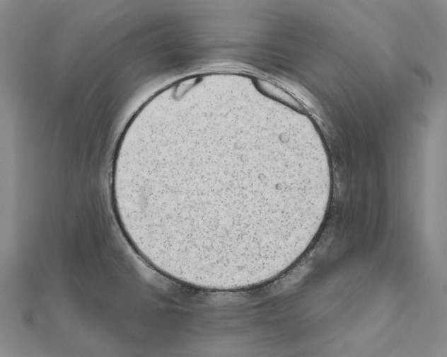 X0000111451430200908241156