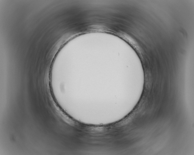 X0000111451431200908241156