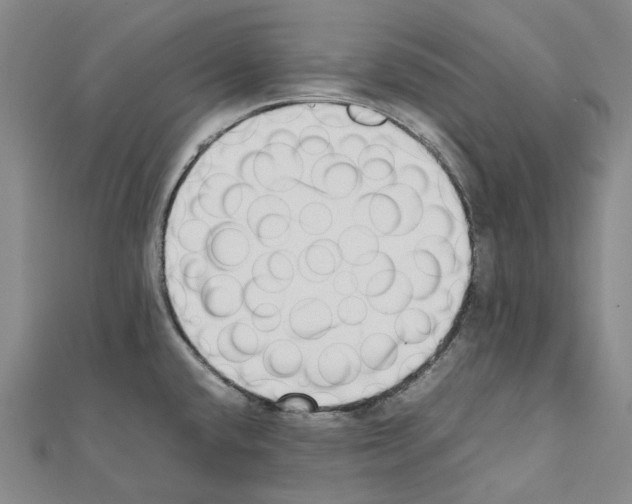 X0000111451432200908241156