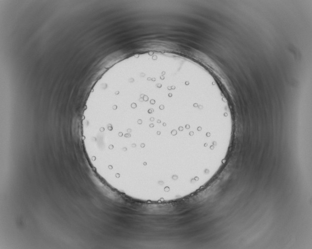 X0000111451433200908241156