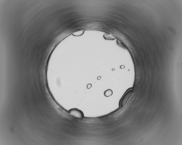 X0000111451434200908241156