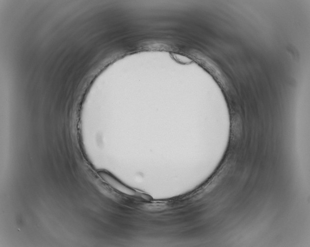 X0000111451435200908241156