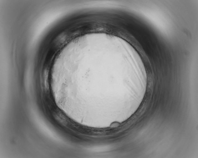 X0000111451439200908241156