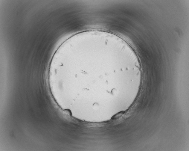X0000111451440200908241156