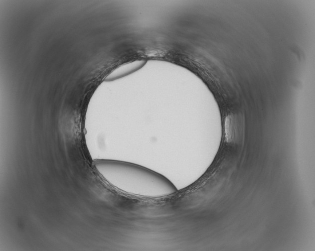 X0000111451443200908241155