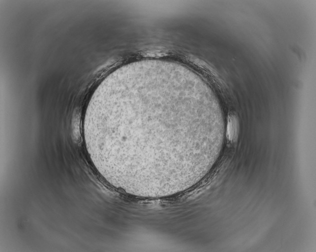 X0000111451444200908241155