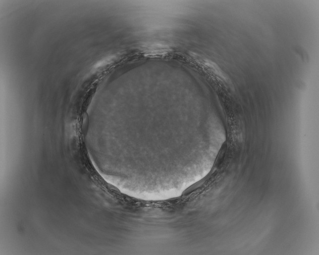 X0000111451445200908241155