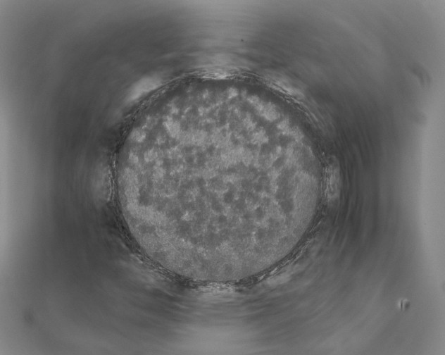 X0000111451446200908241155