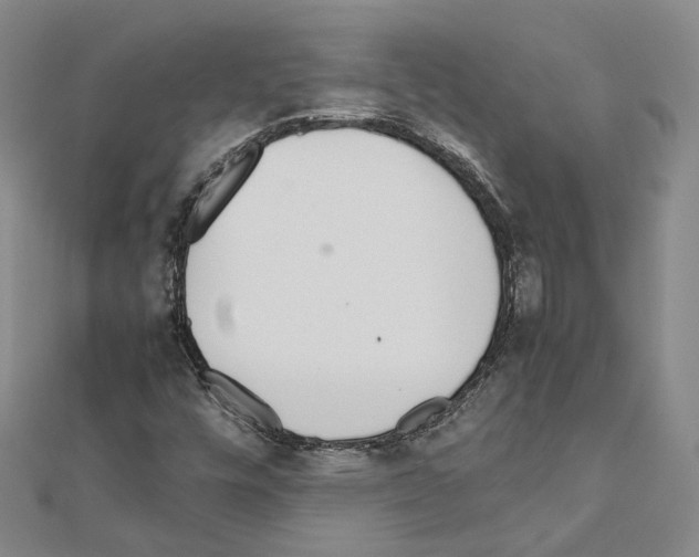 X0000111451448200908241155