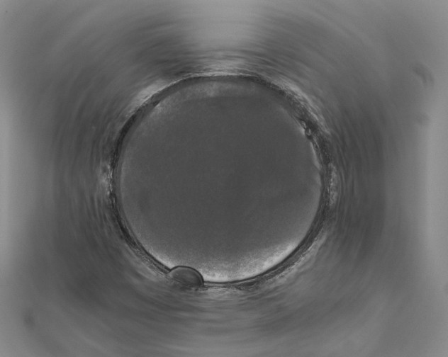 X0000111451449200908241155