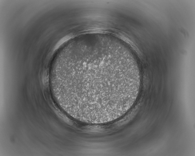 X0000111451450200908241155