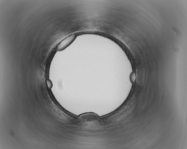 X0000111451452200908241155