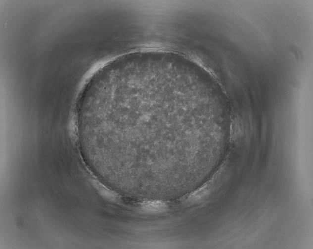 X0000111451454200908241155