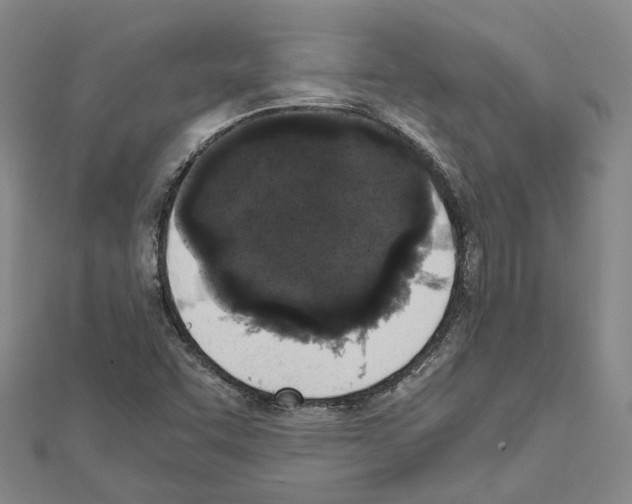 X0000111451455200908241155