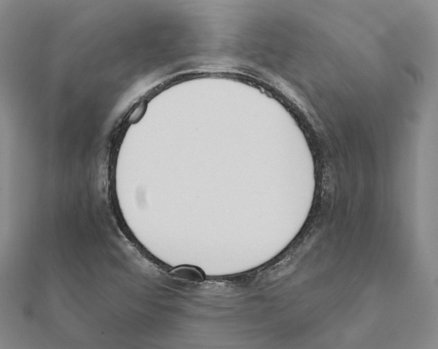 X0000111451456200908241155