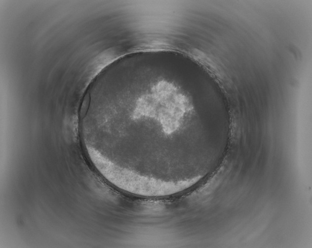 X0000111451457200908241155