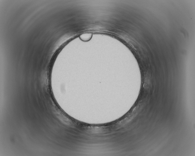 X0000111451458200908241155