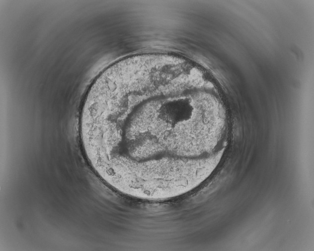 X0000111451459200908241155