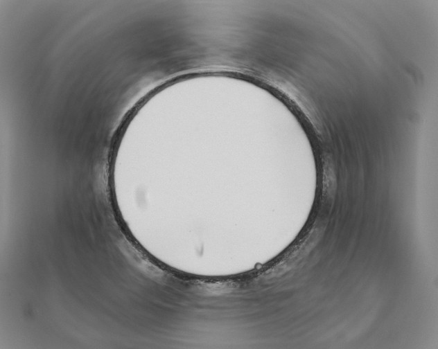 X0000111451460200908241155