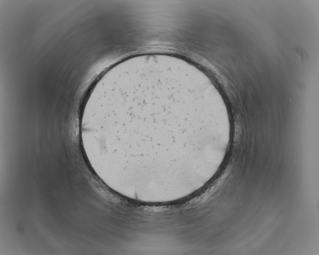 X0000111451461200908241155