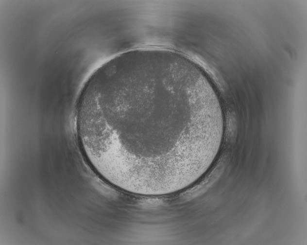 X0000111451462200908241155