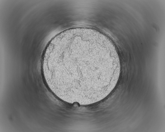 X0000111451463200908241155
