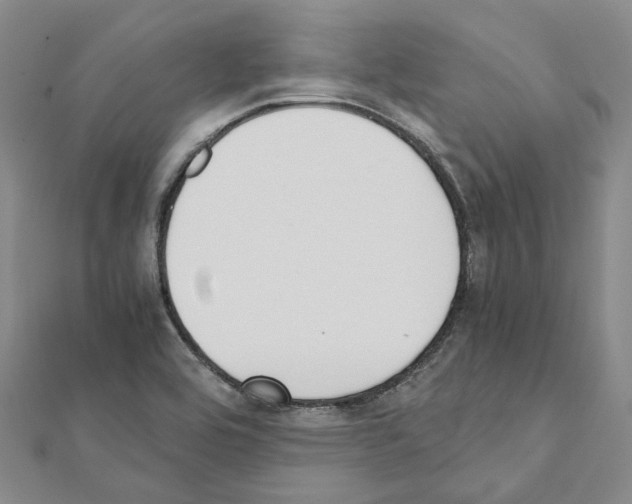 X0000111451464200908241155