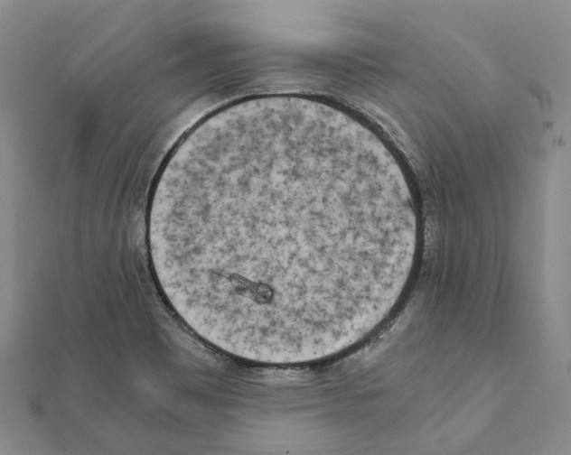 X0000111451465200908241155
