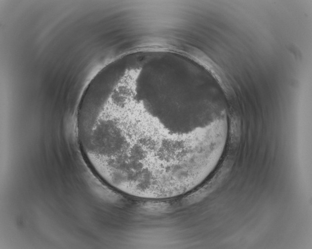 X0000111451466200908241155