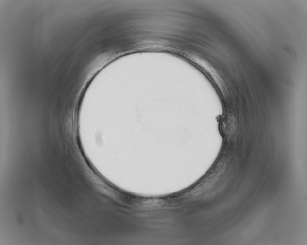 X0000111451467200908241155