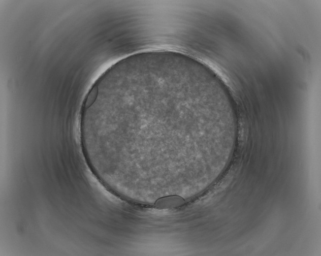 X0000111451468200908241155