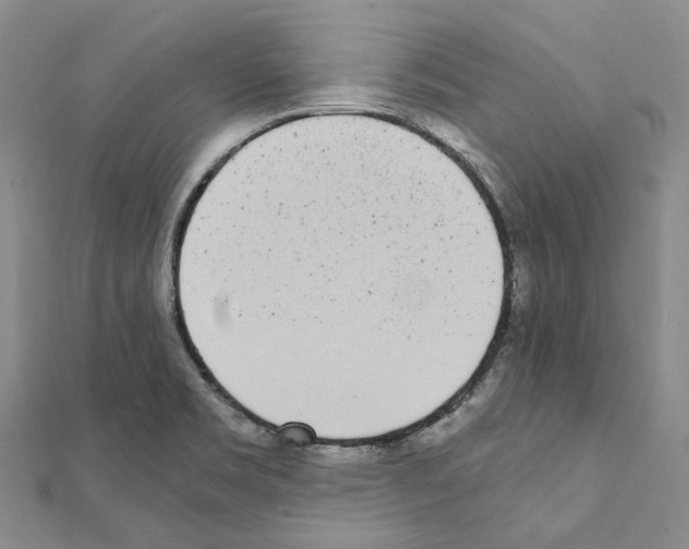 X0000111451469200908241155